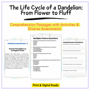 Dandelion Life Cycle Worksheet