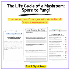 Mushroom Life Cycle Worksheet