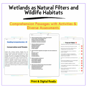 Wetlands as Filters Worksheet