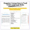 Food Chains & Webs Worksheet