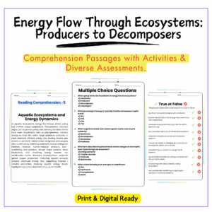 Energy Flow in Ecosystems Worksheet