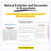 Ecosystem Succession Worksheet