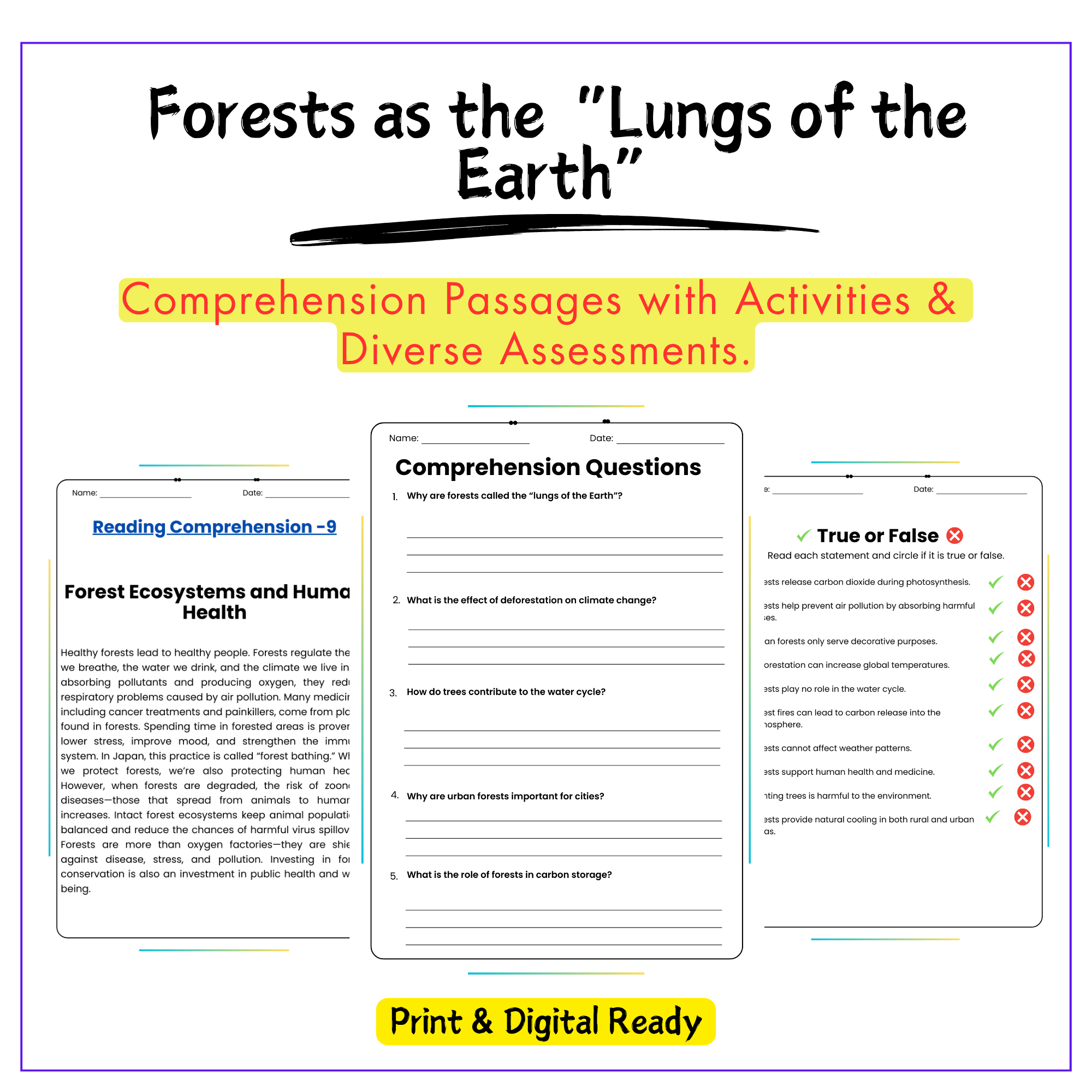 Forests as Lungs Worksheet
