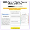 Edible Plant Parts Worksheet