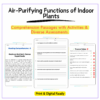 Air-Purifying Plants Worksheet