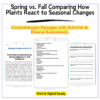 Spring vs. Fall Plants Worksheet