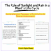 Sunlight & Rain in Plants Worksheet