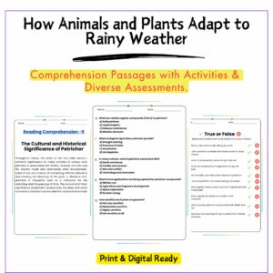 Rainy Weather Adaptations Worksheet