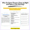 Flowers Close at Night Worksheet