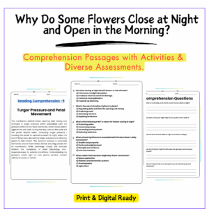 Flowers Close at Night Worksheet