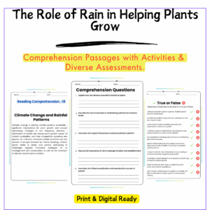 Role of Rain in Plants Worksheet