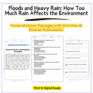 Floods & Heavy Rain Worksheet