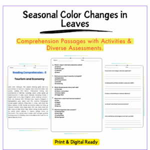 Leaf Color Change Worksheet