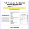 Tall Trees Worksheet