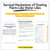 Floating Plants Worksheet
