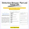 Plant vs. Animal Cells Worksheet