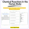 Chemical Reactions in Body Worksheet