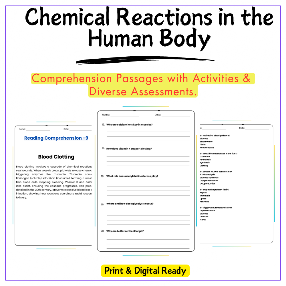 Chemical Reactions in Body Worksheet