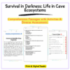 Cave Ecosystems Worksheet