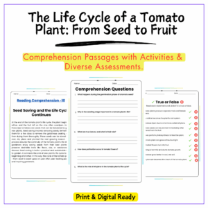 Tomato Plant Life Cycle Worksheet