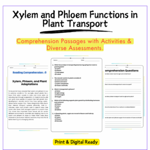 Xylem & Phloem Worksheet