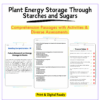 Plant Energy Storage Worksheet