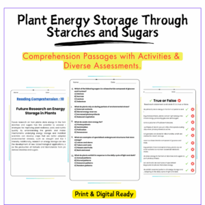 Plant Energy Storage Worksheet