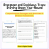 Evergreen vs. Deciduous Worksheet