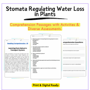 Stomata in Plants Worksheet