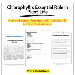 Chlorophyll in Plants Worksheet