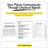 Plant Chemical Signals Worksheet