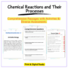 Chemical Reactions Worksheet