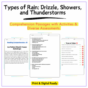 Types of Rain Worksheet