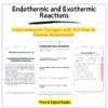 Endothermic & Exothermic Worksheet