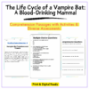 Vampire Bat Life Cycle Worksheet
