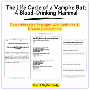 Vampire Bat Life Cycle Worksheet