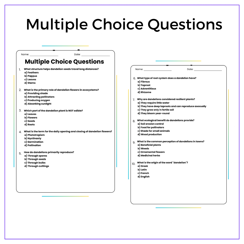 Dandelion Life Cycle Worksheet - Image 3