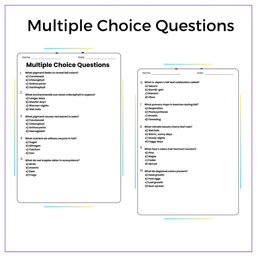 Leaf Color Change Worksheet - Image 3