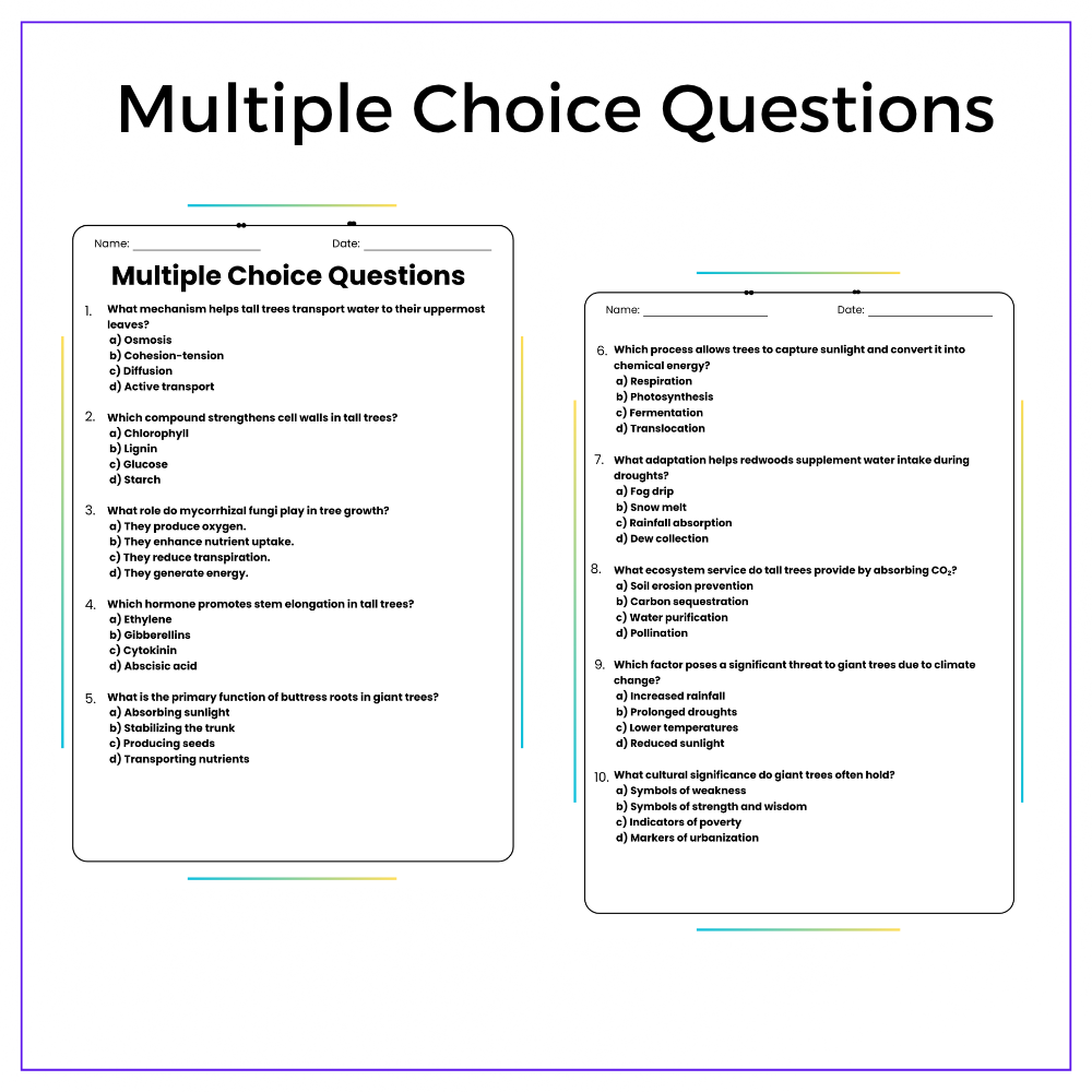 Tall Trees Worksheet - Image 6