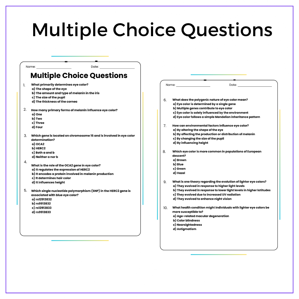 Eye Color Genetics Worksheet - Image 6