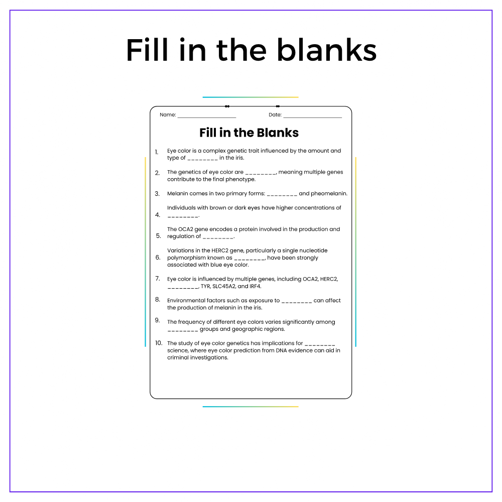 Eye Color Genetics Worksheet - Image 5