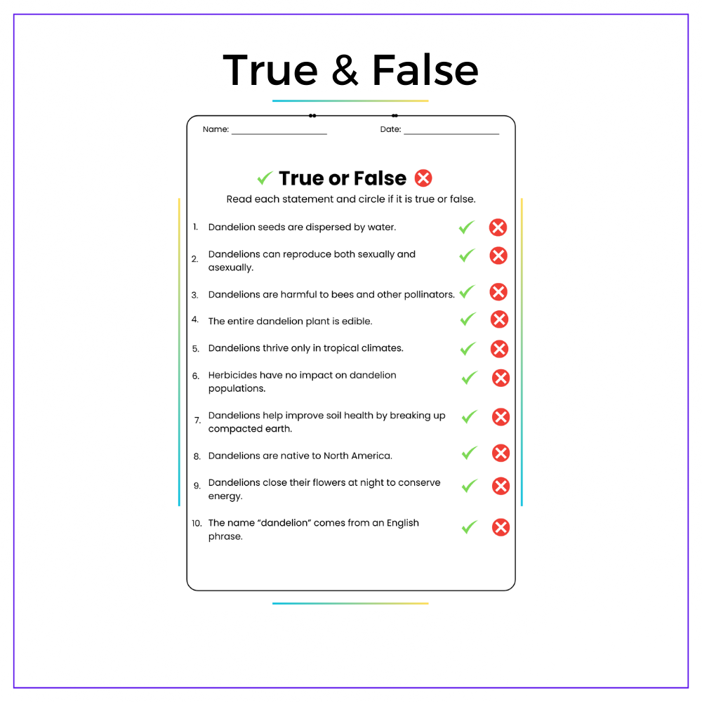 Dandelion Life Cycle Worksheet - Image 6