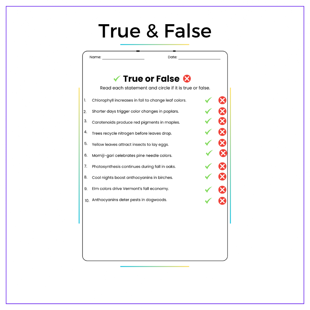 Leaf Color Change Worksheet - Image 6