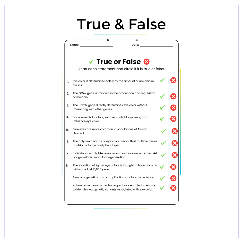 Eye Color Genetics Worksheet - Image 3