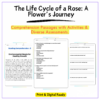 Rose Life Cycle Worksheet