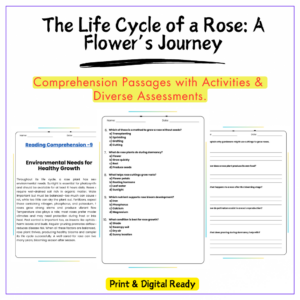 Rose Life Cycle Worksheet