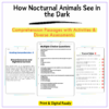 Nocturnal Animal Vision Worksheet