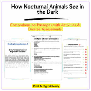 Nocturnal Animal Vision Worksheet