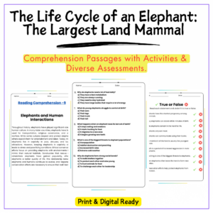 Elephant Life Cycle Worksheet