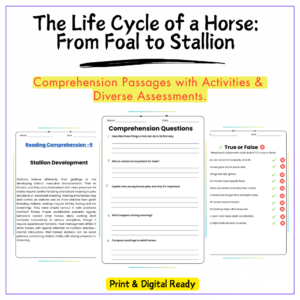 Horse Life Cycle Worksheet